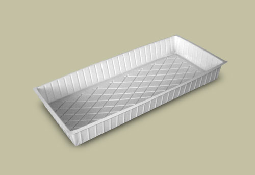 �������� � ����������