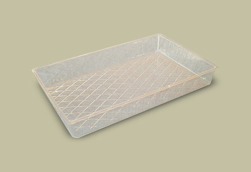 �������� � ����������